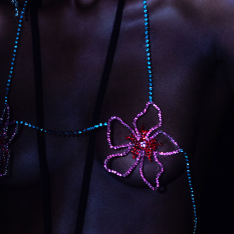 Stonefans-Soutien-gorge à fleu - Women'S Fashion Harness avis et prix